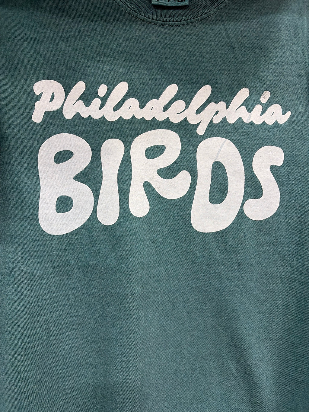 Philadelphia Birds Tee